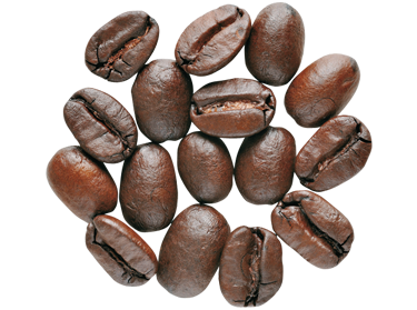 Zrna Arabica