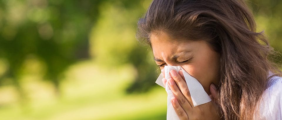 Alergeny v domácnosti – typy pylů a kdy se vyskytují