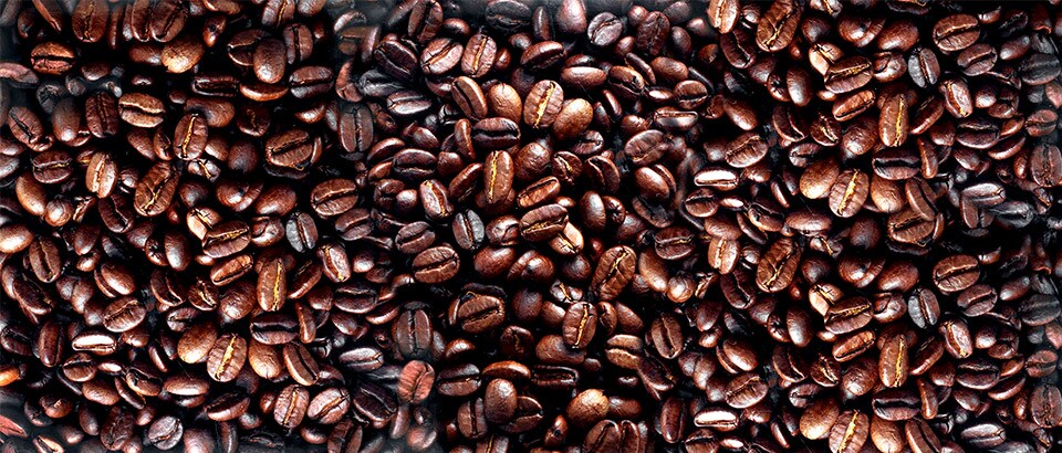 Zorientujte se v nabídce kvalitních káv